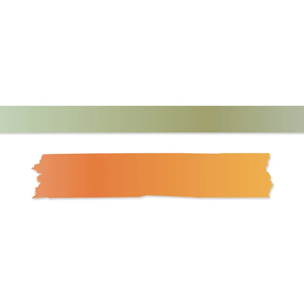 Washi tape Arcoiris Salvaje